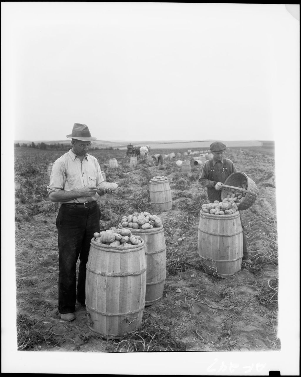 Miniature of Workers Gathering Potatoes
